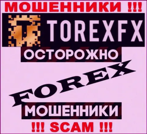 Направление деятельности TorexFX 42 Marketing Limited: Forex - хороший заработок для мошенников