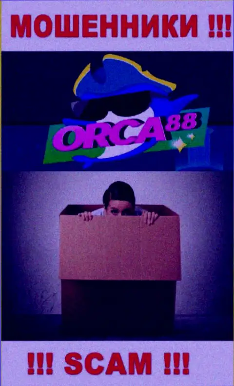 Начальство Orca 88 засекречено, на их сервисе о себе информации нет