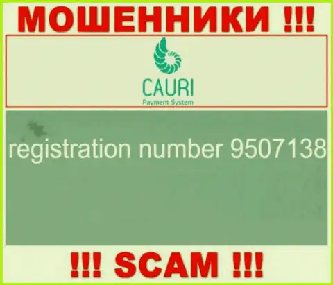 Регистрационный номер, который принадлежит неправомерно действующей организации Каури Ком: 9507138