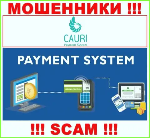 Мошенники Каури, орудуя в сфере Payment system, оставляют без денег клиентов