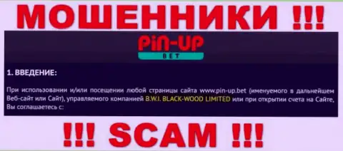 Юр. лицо компании Pin Up Bet - это B.W.I. BLACK-WOOD LIMITED, информация позаимствована с официального онлайн-ресурса