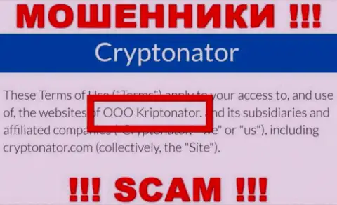 Организация OOO Криптонатор находится под управлением организации OOO Криптонатор