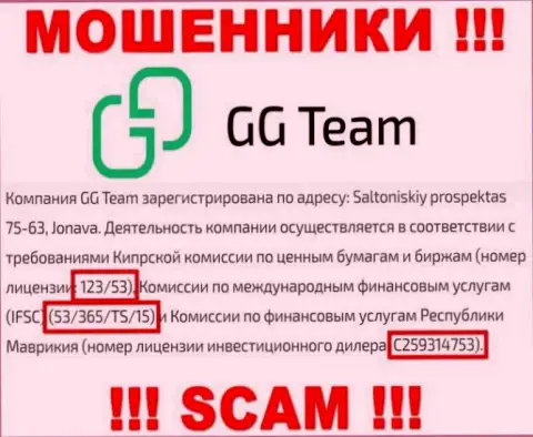 Довольно-таки опасно доверять организации GG Team, хоть на сервисе и предоставлен ее номер лицензии