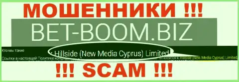 Юр. лицом, владеющим internet ворами BetBoom Biz, является Хиллсиде (Нью Медиа Кипр) Лтд