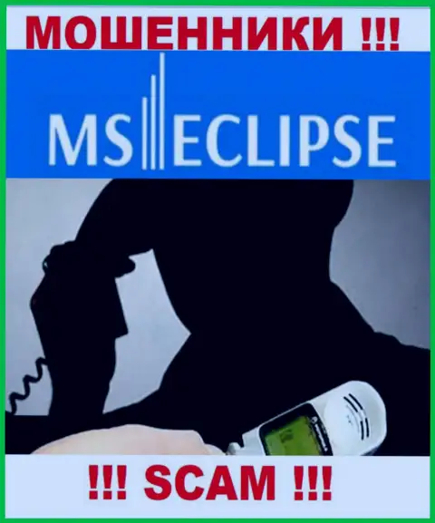 Не стоит доверять ни единому слову работников MS Eclipse, у них основная задача раскрутить вас на финансовые средства
