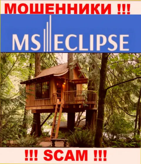 Неизвестно где базируется лохотрон MSEclipse, собственный адрес скрыли