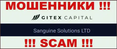 Юридическое лицо Гитекс Капитал - это Сангин Солютионс ЛТД, именно такую инфу показали мошенники на своем портале