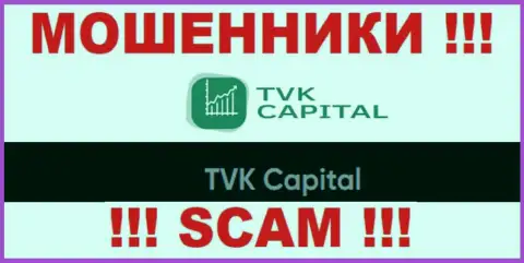 TVK Capital - это юридическое лицо интернет-мошенников TVKCapital