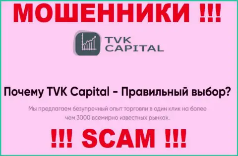 Broker - это сфера деятельности, в которой орудуют TVK Capital