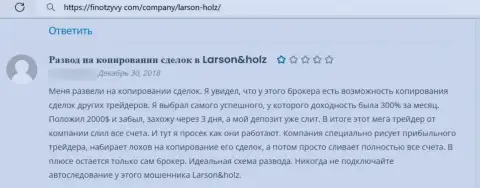 Плохой отзыв о мошеннических махинациях Larson Holz Ltd - средства вводить не нужно ни при каких обстоятельствах