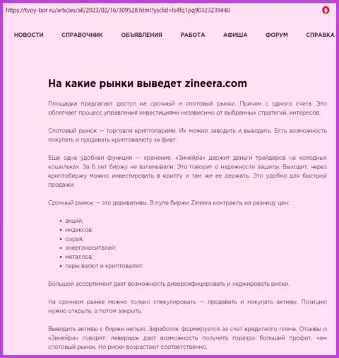 Публикация о внушительном перечне инструментов для спекулирования компании Зиннейра Ком, представленная на веб-сервисе tvoy-bor ru