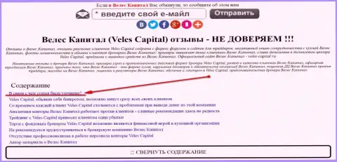 VelesCapital можно увидеть в зеркале veles-kapital.com (официальный веб-сервис)