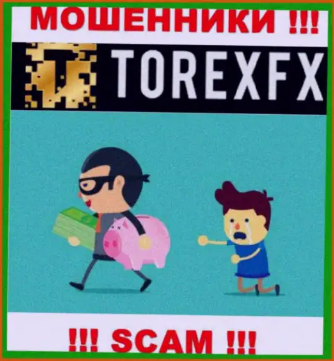 Довольно-таки опасно взаимодействовать с дилинговой организацией TorexFX Com - кидают клиентов